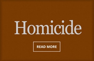 Homicide2-home